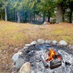 Fire pit forest ashford elbe mineral cabin retreat
