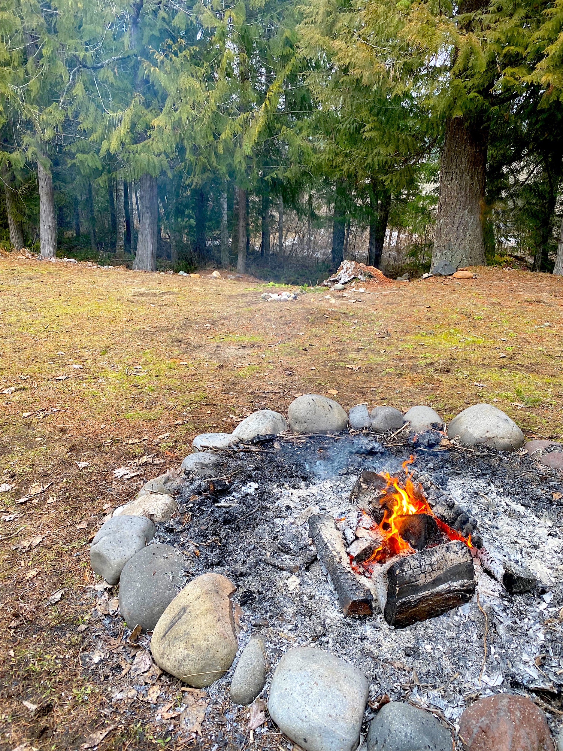 Fire pit forest ashford elbe mineral cabin retreat