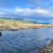 Nisqually River with rocky banks and evergreen forested hills in the background with cloudy blue skies above