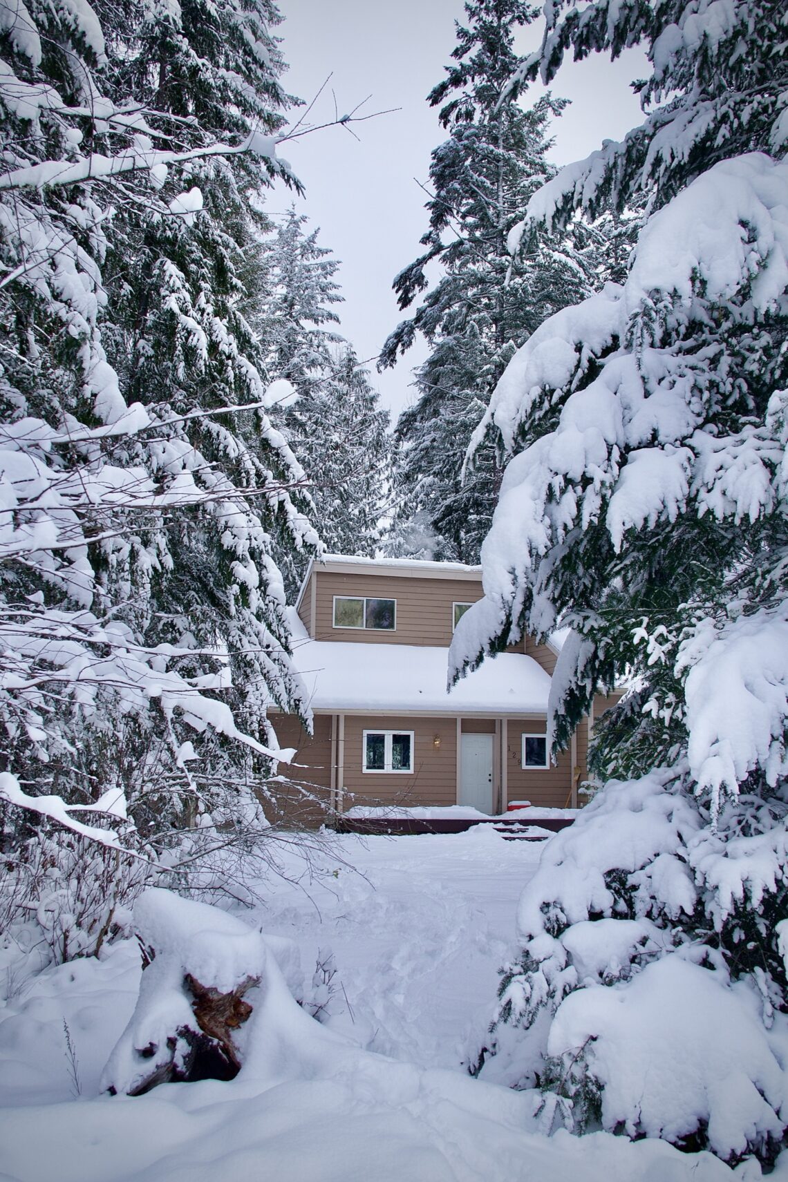 Front door of home in the snow with evergreen trees covered in snow nearby