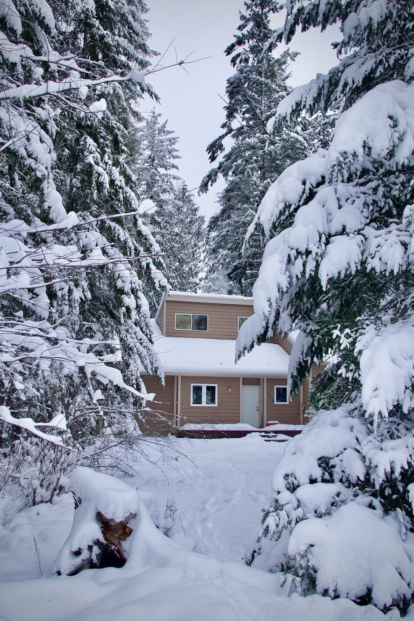 [slide] Snowy Home